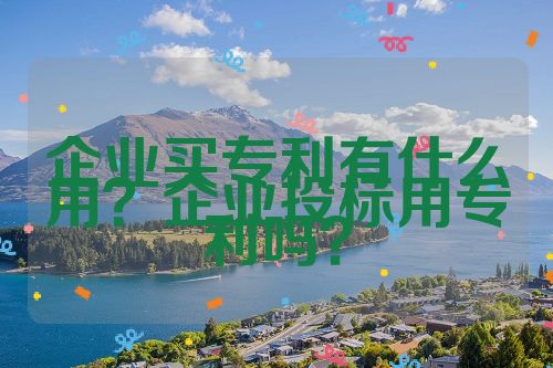 企業(yè)買專利有什么用？企業(yè)投標(biāo)用專利嗎？