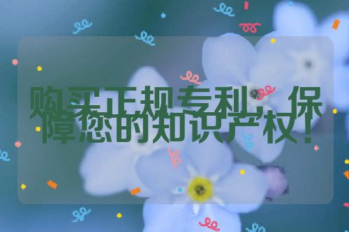 購(gòu)買正規(guī)專利，保障您的知識(shí)產(chǎn)權(quán)！