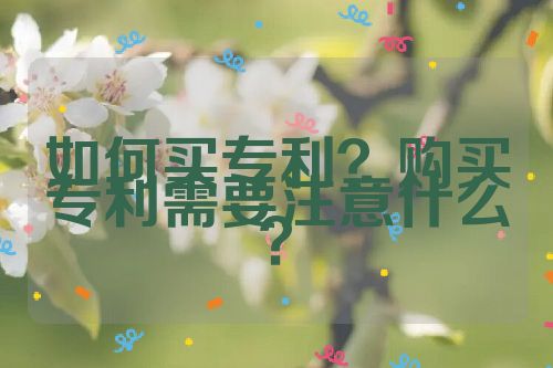 如何買專利？購(gòu)買專利需要注意什么？