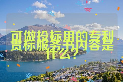 可做投標(biāo)用的專(zhuān)利貫標(biāo)服務(wù)書(shū)內(nèi)容是什么？