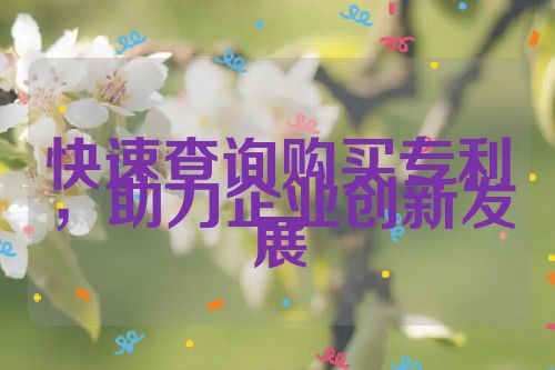 快速查詢購(gòu)買(mǎi)專(zhuān)利，助力企業(yè)創(chuàng)新發(fā)展